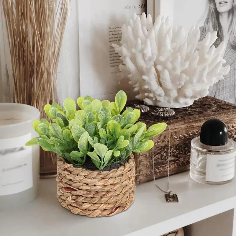 1Pc Potted Plant Small Fake Pl - огляд і ціна Home Office Layout